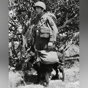 8x10 War Dog Training Center San Carlos California 1944 WWII Historic Photo #1